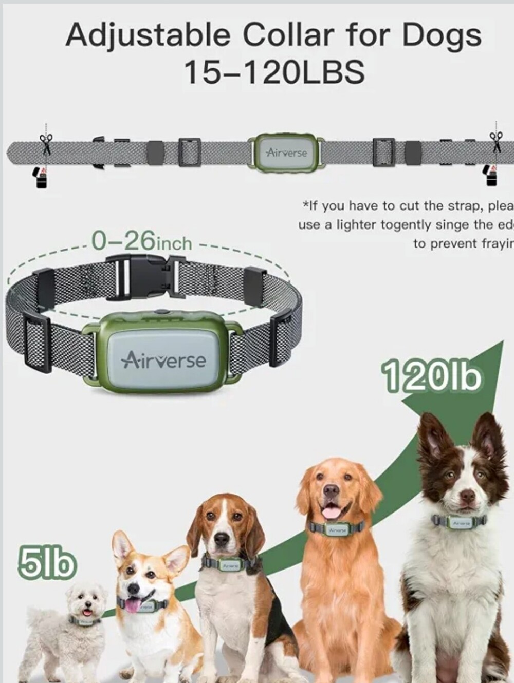 Dog Training Kit w/ 2 Waterproof Collars & Multi-level Options - Picture 3 of 3